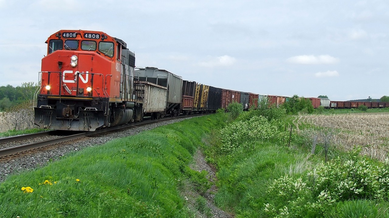 CN 514 with an unusual long train slows down for the next siding to let a very long oil train (711) pass by.