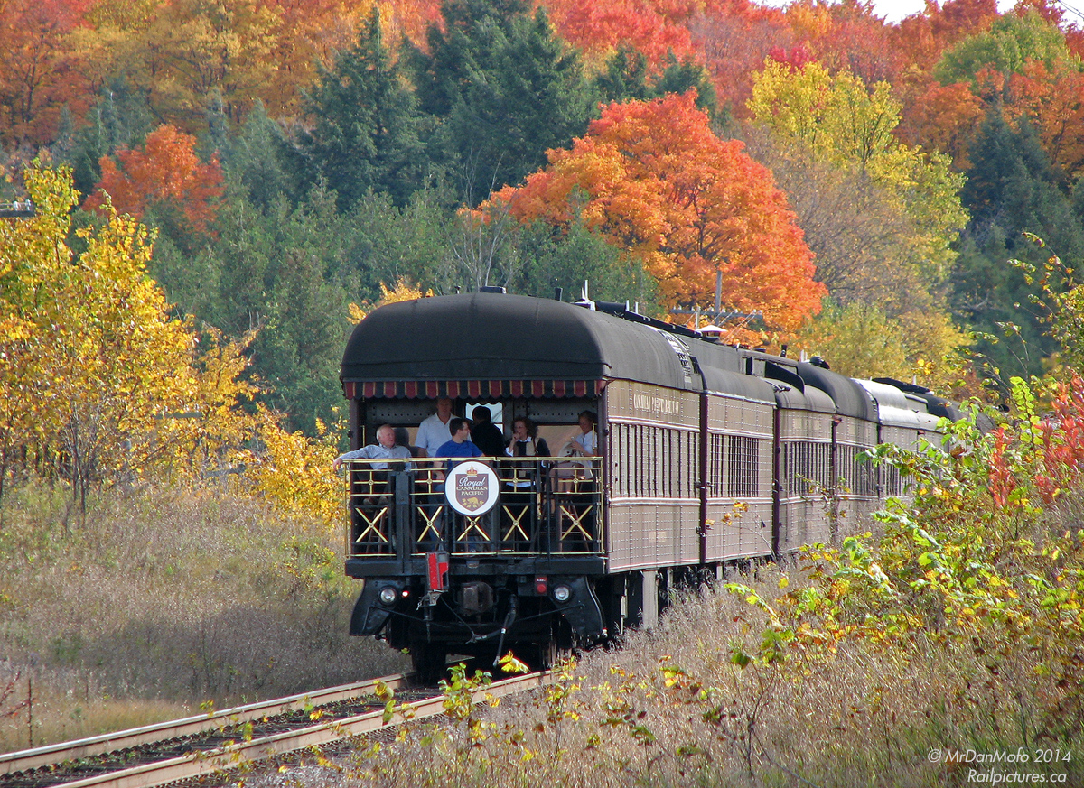 Passengers look back on the line from the rear observation platform of CP's Mount Stephen business car, bringing up the rear of a special Royal Canadian Pacific business train taking a rare-miles trip into Ontario, southbound on the MacTier Sub outside of Tottenham. IIRC, it may have been a Canadian Tire shareholders' special.

For the head end of the train with CP FP9's 4106 and 4107: http://www.railpictures.ca/?attachment_id=10251
