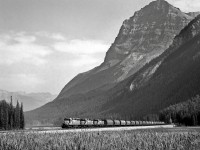 With Mount Stephen towering in the background, a CP grain train departs the west end of the Field yard. September 5, 1988.