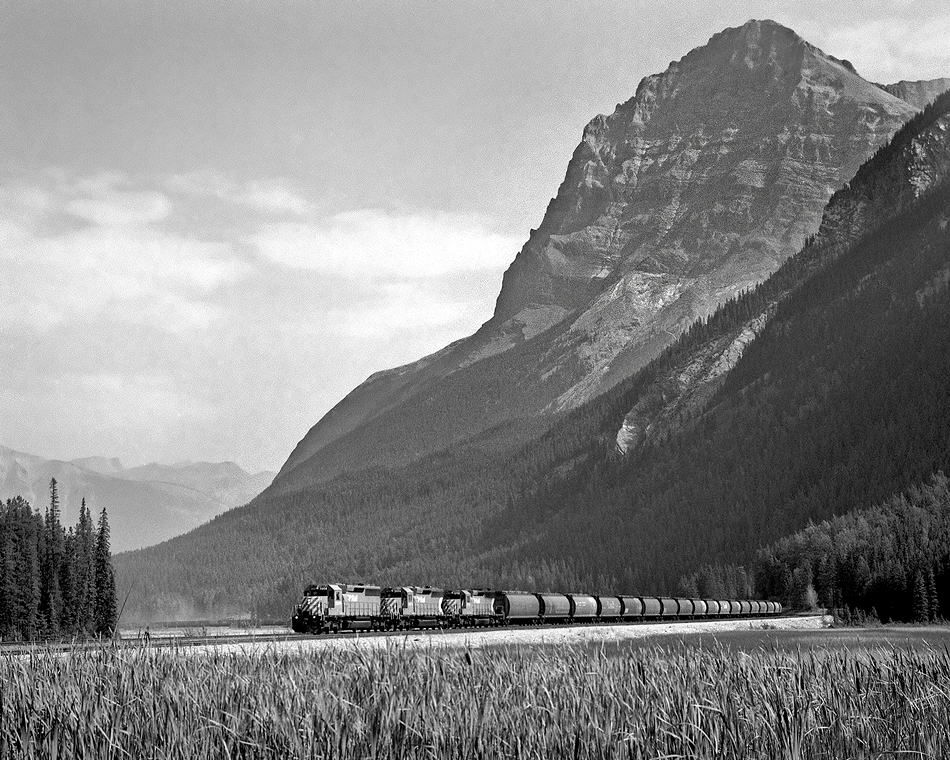 With Mount Stephen towering in the background, a CP grain train departs the west end of the Field yard. September 5, 1988.