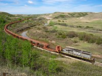CN 921, the Drumheller subdivision "funeral train", rumbles east between Rosebud and Rosedale on a beautiful spring morning.