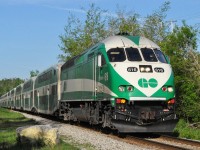 The last morning train on the Kitchener Line rounds the curve at Acton Quarry heading for its next stop at Georgetown.