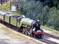 Another of LNER 4472, "The Flying Scotsman", this time rolling through the famed Bayview Junction with a crowd including the photographer there to witness its passing as part of its visit to North America.  A month or so later, she was photographed at <a href=http://www.railpictures.ca/?attachment_id=15081><b>Jordan</b></a> and <a href="http://www.railpictures.ca/?attachment_id=14859"><b>Niagara Falls</b></a>.