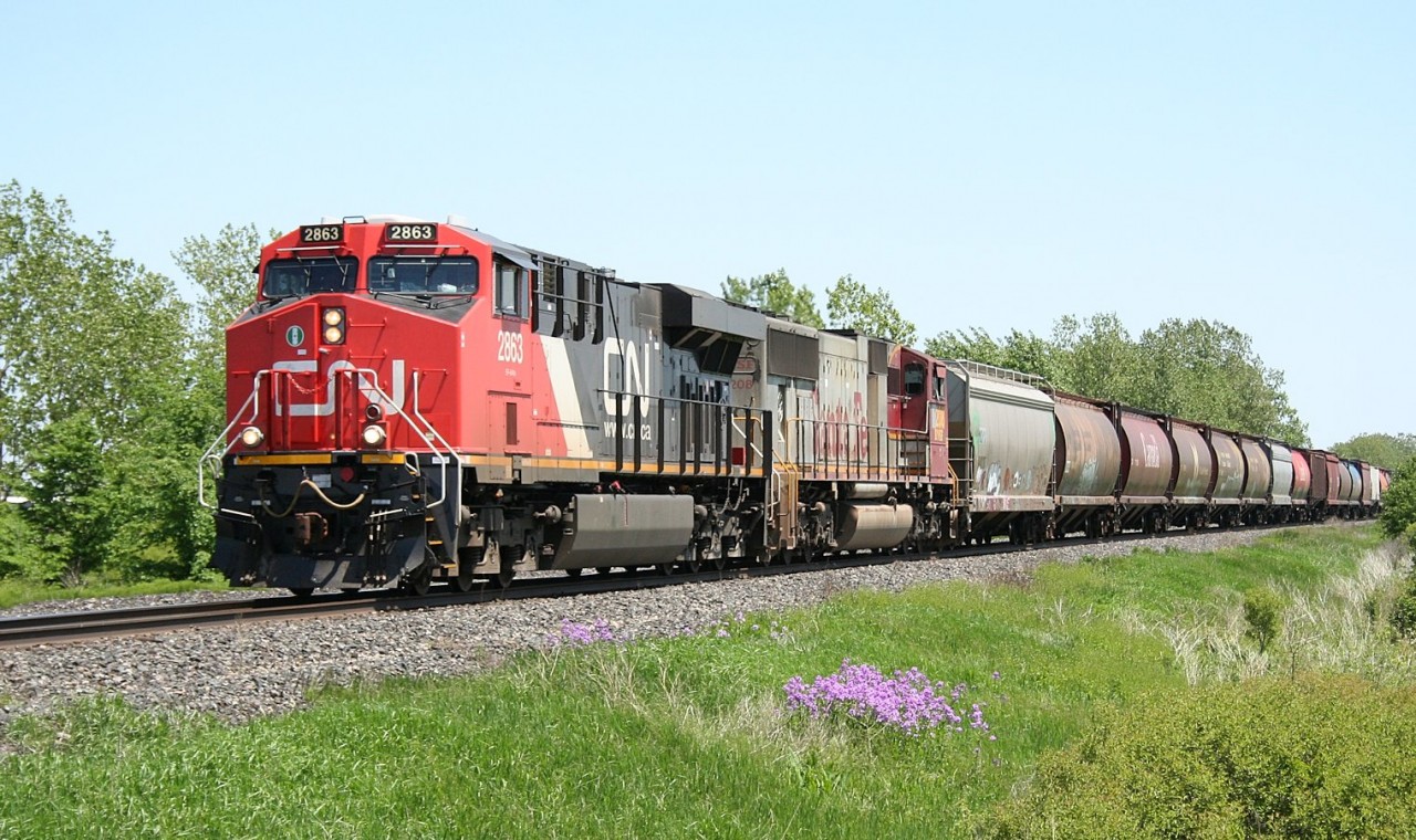 Hot on the tail of 393, CN 301 rolls into Sarnia with a rather attractive visitor in the form of BNSF 208 in full Santa Fe warbonnet colours behind a brand new CN ES44DC.

This train is a re-route due to summer track work on northern Ontario transcontinental line.