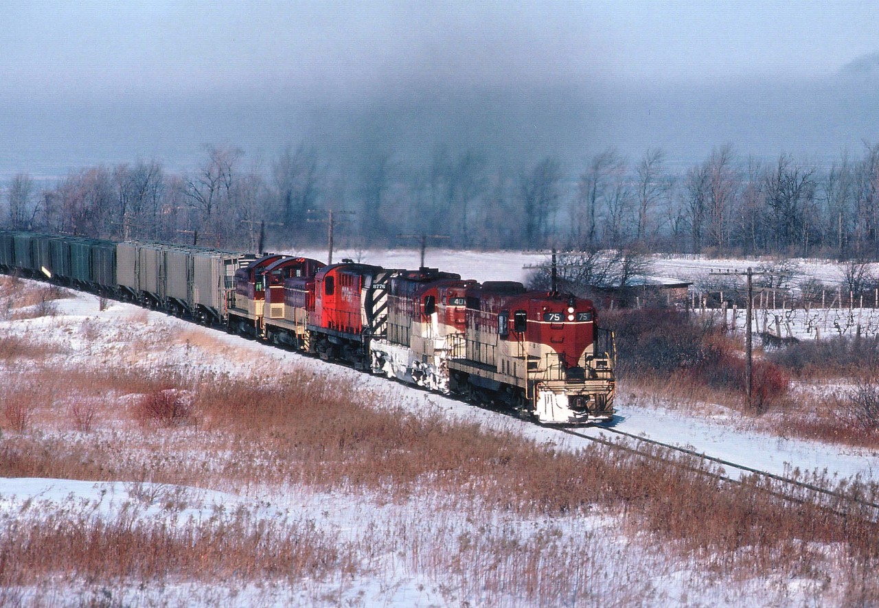 Imagine the roar coming from TH&B 75, 401, CP 8776, TH&B 55 and 57 as the power struggled the hill at Vinemount with a long heavy rock train in tow?? It was exhilarating to say the least. Not only are todays' CP behemoths taking this grade with ease, the foliage encroachment has almost wiped out this area for anything other than head-on views. Sheesh!!! Take me back to the yesterdays!! Now!!!