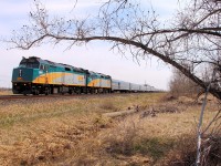 VIA's "Canadian" departs the Winnipeg city limits for Rivers and points west.
