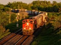 Approaching Newtonville Road, CN 8871 leads train 368 into a brilliant sunrise.
