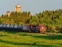 CP 8613 with train 608 approaches Newtonville Road just after sunrise.