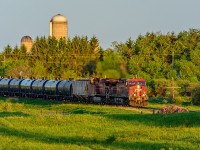 CP 8613 with train 608 approaches Newtonville Road just after sunrise.
