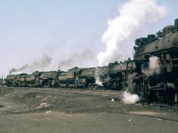 Steamy day at the roundhouse! A gathering of large of steam locomotives sits outside of Canadian National's Mimico roundhouse and yards one morning in 1956, ready and waiting for service. Lots of 6000-series 4-8-4 Northerns are in attendance, one of CN's preferred steam locomotive models for mainline service. In the background linger some CN cabeese with maple leaf wafer logos.
<br><br>
Today, groups of large steam locomotives together with fires in their bellies are a thing of the past, as are the roundhouses at every major terminus full of employees that kept them roadworthy, and the caboose that punctuated the opposite end of almost every train they pulled.
<br><br>
<i><u>More Northern action</u></i>:<br>
CNR Northern 6258 at Mimico: <a href=http://www.railpictures.ca/?attachment_id=14024><b>http://www.railpictures.ca/?attachment_id=14024</b></a><br>
Doubleheading Northerns on a runby near Washago: <a href=http://www.railpictures.ca/?attachment_id=14528><b>http://www.railpictures.ca/?attachment_id=14528</b></a><br>
GTW Northern 6301 at Clarkson: <a href=http://www.railpictures.ca/?attachment_id=13305><b>http://www.railpictures.ca/?attachment_id=13305</b></a><br>
CNR Northern 6167 on an excursion near Picton: <a href=http://www.railpictures.ca/?attachment_id=14252><b>http://www.railpictures.ca/?attachment_id=14252</b></a>