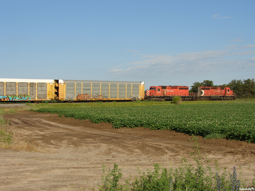 CP Work 6020 departing North Yard Switch Spence heading for the Honda plant in Alliston to spot their 19 empty multi's for another load of brand new Honda Civics. Not far from Toronto but overlooked by most, Spence and it's 4-6 Honda assignments (depending on the time of year) is still a sanctuary for CP's aging and fleeting SD40-2's.