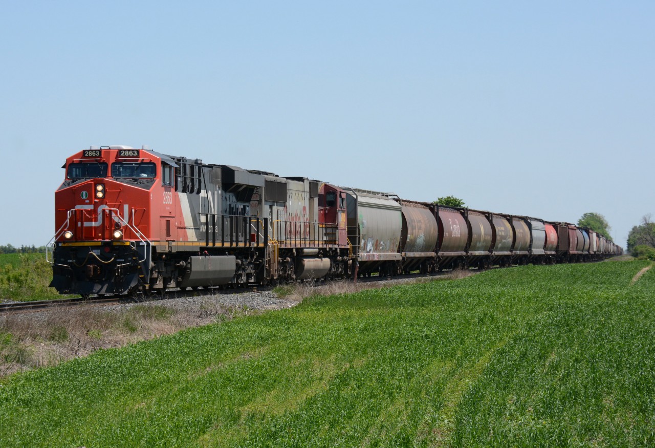 CN train heads west at Camlachie Side Road with CN2863 and BNSF208.