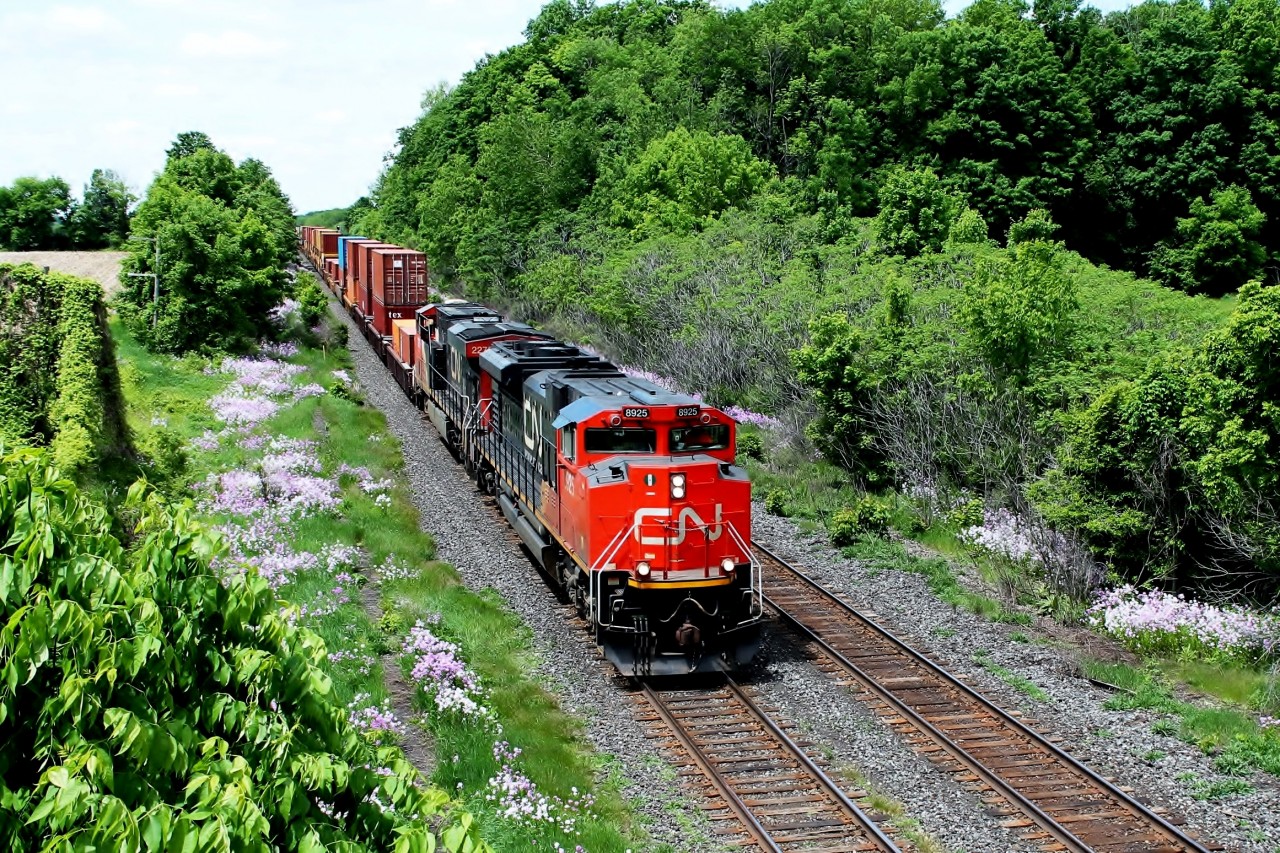 Train 148 headed by 8925 and 2275, an all intermodal train, passes under Blenheim Road bridge to the east of Princeton. The scanner reported that the detector at mile 27 had been triggered and there was a fault on axles 131/2.