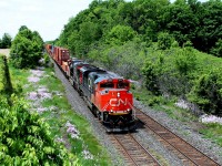 Train 148 headed by 8925 and 2275, an all intermodal train, passes under Blenheim Road bridge to the east of Princeton. The scanner reported that the detector at mile 27 had been triggered and there was a fault on axles 131/2.
 