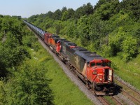 Thanks goes to a few people for the heads up, you know who you are. CN 710 with a lashup you don't see everyday, a SD60F, a SD60, and a BNSF! Just before it was high sun, CN 710 comes rolling by. 