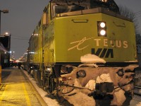 Up close and personal with Telus-wrapped VIA 6429, an '86 GMD F40PH-2, on the point of #87 on its evening station stop in Downtown Brampton on a cold evening. Nothing says Winter in Canada like a snow-packed VIA F40, and copious amounts of "Safe-T-Salt" thrown down by the local station staff.