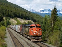 CN SD60 cousins 5548 and 5403 claw their way west on CN's Albreda Sub with a heavy grain train.