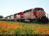 CP train #640 has an interesting consist on July 3, 2014 with CP SD40-2 #5833, SD30C-ECO #5019, CITX SD40 #3069, and OFOX (former CITX) SD45 #2785 for power.  It's late in the day, the sun is in the wrong location, but a cloud happened by at the right time to allow for a better shot than what I expected.  The Day Lilies helped out too......