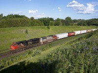 CN 369 grinds up the York Subdivision with 8902-BNSF235. On the far right is CP 608 approaching Cherrywood on CP's Belleville Subdivision.