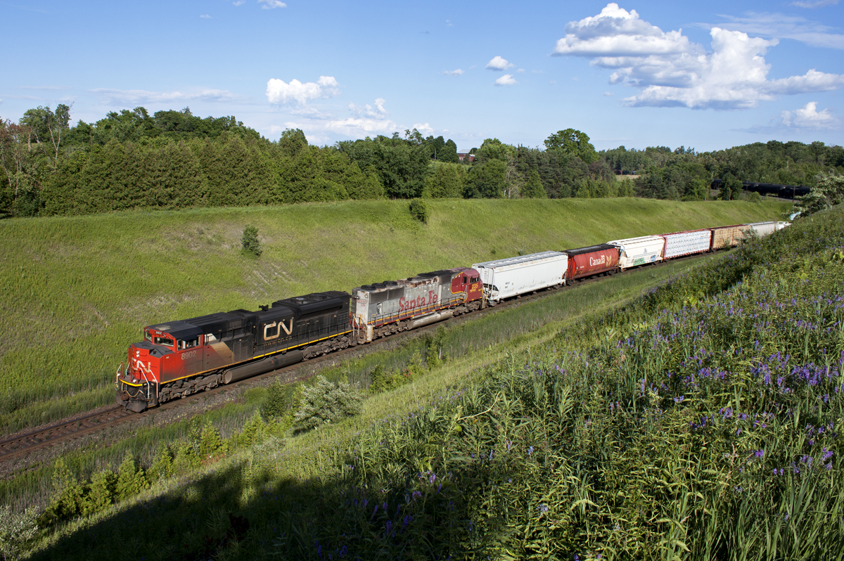 CN 369 grinds up the York Subdivision with 8902-BNSF235. On the far right is CP 608 approaching Cherrywood on CP's Belleville Subdivision.