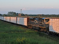 The last rays of sunlight filter past the trees to bathe the flanks of CN 8100 in a soft pink light. In seconds the light is gone. Working as the DPU on 369 at Newtonville, she looks pretty sharp in her patched image. 2032hrs.