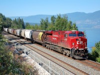 CP 8902 is cruising alongside Shuswap Lake and approaching Mowitch with this eastbound load of empty grain cars.