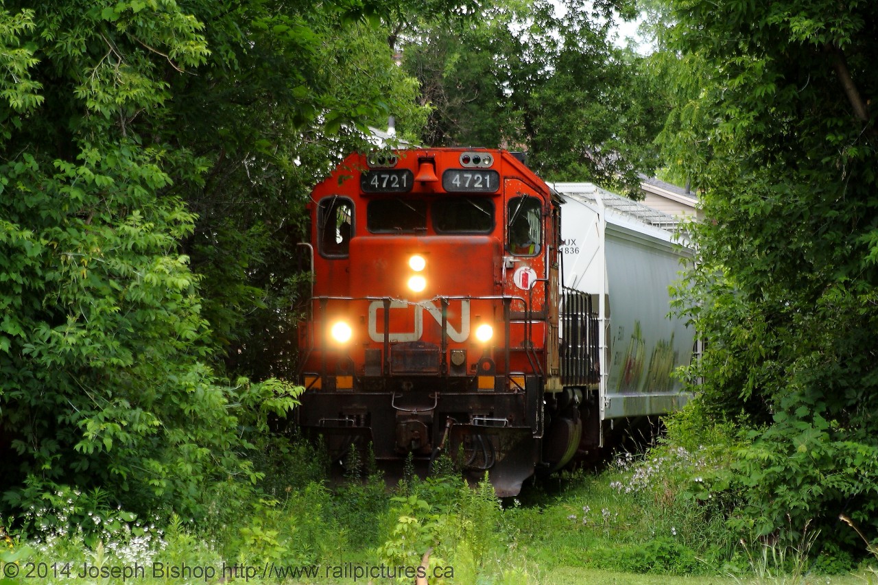 Welcome To The Jungle  CN L58031-09 slowly trundles towards Ingenia through the jungle of trees by the Cayuga Street crossing.