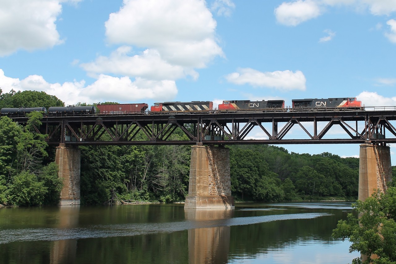 At last a freight on the viaduct! Having seen the green light at Paris Junction I managed to reach the viaduct downtown with plenty of time to spare. With one eye on the water snake sunning itself next to me I was surprised to see an oil train with all CN power CN 2221, 2525 and 5505.