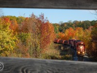CP Sudbury-Hamilton train 246 is heading downgrade, framed in the wooden slats of the Snake Rd. bridge - built in 1910 during construction of the charter-named Southern Ontario Pacific Railway (Canadian Pacific) Guelph Jct to Hamilton expansion. This bridge is now closed to vehicular traffic and is slated for immediate replacement due to structural issues. This photo also highlights the brilliant Fall colours of 2010 - best I've seen before and since. Here's hoping this year is just as nice!