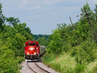 Not letting a day go to waste: With plans to go out with someone for the morning changed, I decided not to let this day slip away from my grasp. Camera grip in hand I ventured out on my day off to shoot CP's internal shortline, the Kawartha Lakes Railway. The shot in mind was the serpentine curve at Myrtle, but a long train was needed to accentuate the grade this train had to overcome. Seen here, CP Train T08-06 is climbing the grade into Myrtle with a lengthy 44 car train in tow, the biggest I've seen on this pain killing 10 mph (once 30 MPH) mainline to Havelock. And to think, back in the day the CPR ran 120 MPH silk trains on this very same jointed rail. 
