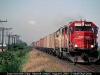 A pair of white SOO SD60's, with 6041 in the lead, are heading quickly east on the CP's Windsor Subdivision between Haycroft and Tilbury, Ontario back in August of 2004.