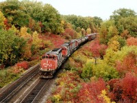 Fall is a favourite time to be trackside. A colour riot like this almost makes one not realize it is actually a dull overcast day. CN 5298, 2339 and 2035 power a train westbound toward Bayview Jct and the Dundas Sub. The scene is from the old Hwy 2 bridge, now known as Plains Road. Years ago I used to identify this location as Bayview East, as it is east of the Jct although this was never a railroad name. Aldershot West, around the bend somewhat, is now known as "Snake", a moniker I am afraid I will never get to appreciate. :o)So it remains, in my mind, Bayview East. As far as I know, lead unit 5298 is still on the CN roster.