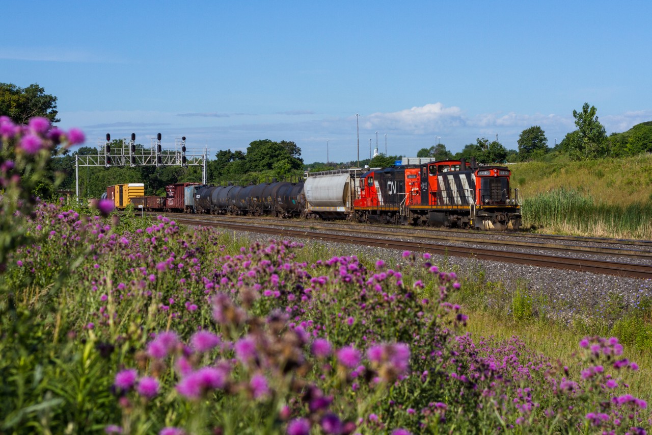 A vintage pair of yard locomotives guide CN 550 back to Aldershot Yard after lifting a small train out of Stuart Street Yard, from around the bay in Hamilton. With temperatures hovering around 15 degrees C, it almost feel's like an autumn morning, despite the blossoming flowers.