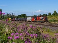 A vintage pair of yard locomotives guide CN 550 back to Aldershot Yard after lifting a small train out of Stuart Street Yard, from around the bay in Hamilton. With temperatures hovering around 15 degrees C, it almost feel's like an autumn morning, despite the blossoming flowers.