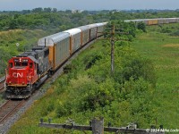 Heading up a long X371 made entirely of empty multilevels, CN 5443 takes the sweeping curve at Bowmanville, Ontario. 1315hrs.
<br><br>
The location is somewhat notable as being the former location of the beginning of the Goodyear spur that crossed over the 401 freeway on a 1981 vintage bridge to access the original spur, which included some interesting street and backyard running to reach the plant located just south of the downtown. The spur was deactivated in the late 1990's, the exact date or even year escapes me, but I recall seeing switch had been pulled from the service track by 1998. It's getting difficult to see now, with all of the foliage growth, however you can see a concrete bridge on the spur directly over the 4th multilevel.
<br><br>
Prior to the completion of the bridge over the 401 in 1981, the spur came out of the Bowmanville Yard area and crossed the 401 at grade... one of two locations between Bowmanville and Toronto where spurs crossed it at grade (the other being at Whitby, a remnant of the old Nip & Tuck). The Bowmanville bridge was finally removed in 2011 or 2012, concurrent with the removal of the bridge that carried the one time Oshawa Railway over the 401, about 10 miles west of here, which was abandoned in 1997 or thereabouts.
<br><br>
The lead unit is also somewhat notable in that it started life as Oakway 9000, the class unit of the 'power by the hour' fleet of SD60's. When new, the concept created a lot of controversy as Burlington Northern's shop craft Unions were vehemently opposed to the Oakways being maintained by non-BN personell at an independent shop, thereby cutting the Unions out of the deal and was feared to be the tip of an outsourcing iceberg.