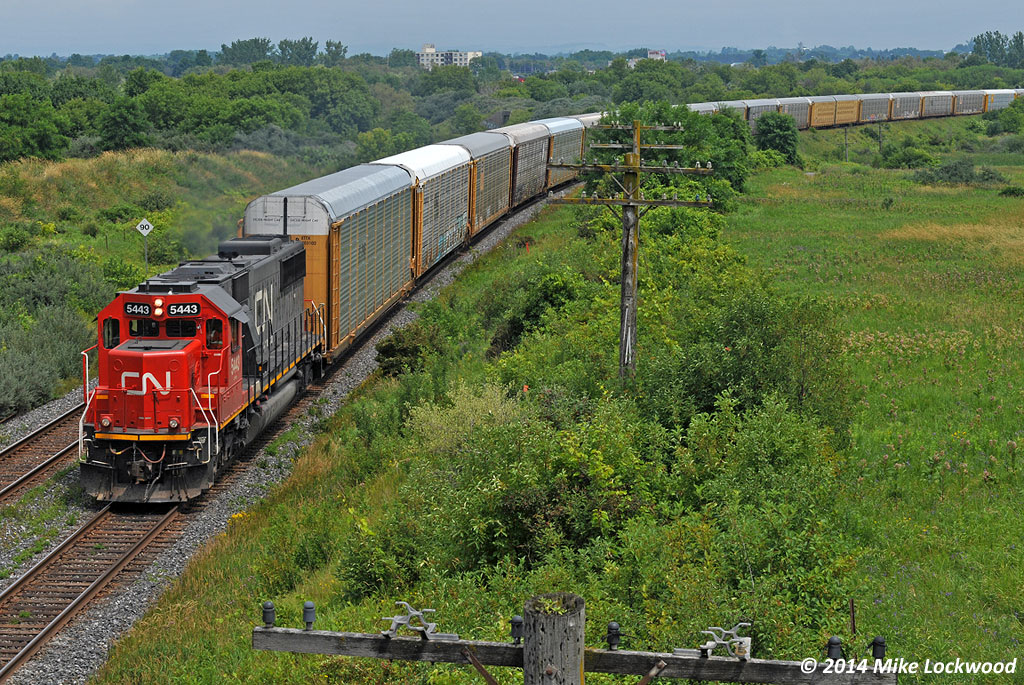Heading up a long X371 made entirely of empty multilevels, CN 5443 takes the sweeping curve at Bowmanville, Ontario. 1315hrs.

The location is somewhat notable as being the former location of the beginning of the Goodyear spur that crossed over the 401 freeway on a 1981 vintage bridge to access the original spur, which included some interesting street and backyard running to reach the plant located just south of the downtown. The spur was deactivated in the late 1990's, the exact date or even year escapes me, but I recall seeing switch had been pulled from the service track by 1998. It's getting difficult to see now, with all of the foliage growth, however you can see a concrete bridge on the spur directly over the 4th multilevel.

Prior to the completion of the bridge over the 401 in 1981, the spur came out of the Bowmanville Yard area and crossed the 401 at grade... one of two locations between Bowmanville and Toronto where spurs crossed it at grade (the other being at Whitby, a remnant of the old Nip & Tuck). The Bowmanville bridge was finally removed in 2011 or 2012, concurrent with the removal of the bridge that carried the one time Oshawa Railway over the 401, about 10 miles west of here, which was abandoned in 1997 or thereabouts.

The lead unit is also somewhat notable in that it started life as Oakway 9000, the class unit of the 'power by the hour' fleet of SD60's. When new, the concept created a lot of controversy as Burlington Northern's shop craft Unions were vehemently opposed to the Oakways being maintained by non-BN personell at an independent shop, thereby cutting the Unions out of the deal and was feared to be the tip of an outsourcing iceberg.