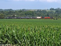 Two geep's and a handful of cars pass rolling farmland outside of Port Hope as they make their way east to the yard at Belleville, Ontario. CN 516/517 (thanks TDS) ferry the yard / local power outposted to Belleville to and from Mac Yard (outside of Toronto) for service/inspection/replacement when they don't hitch a ride on 369 from, and 372 to, Belleville. Always a nice catch. CN 7081 and 7082. 1457hrs.