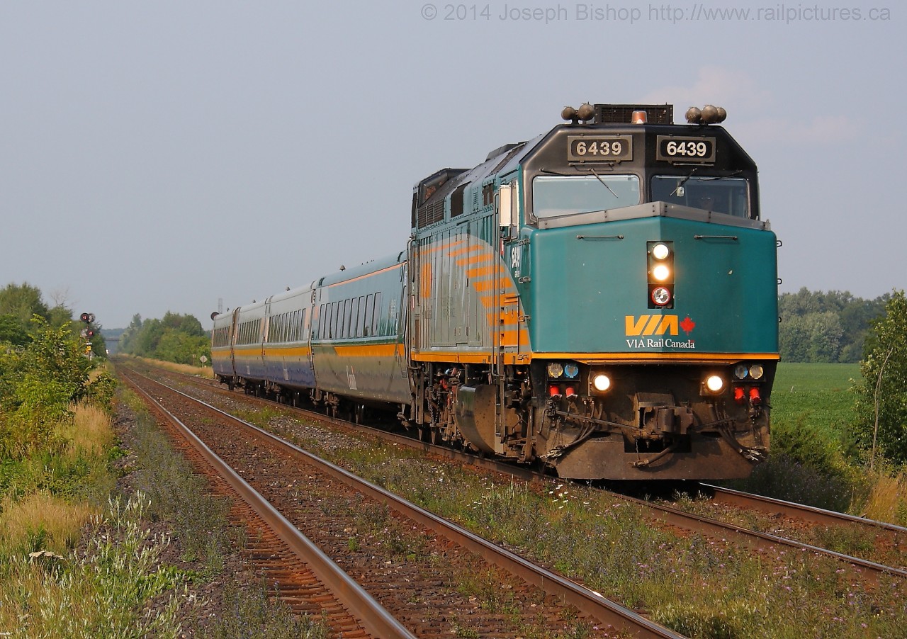 The detector at Mile 15 sounded as the gates started to come down at Powerline Road West as Via 83 rocketed by the crossing at track speed.