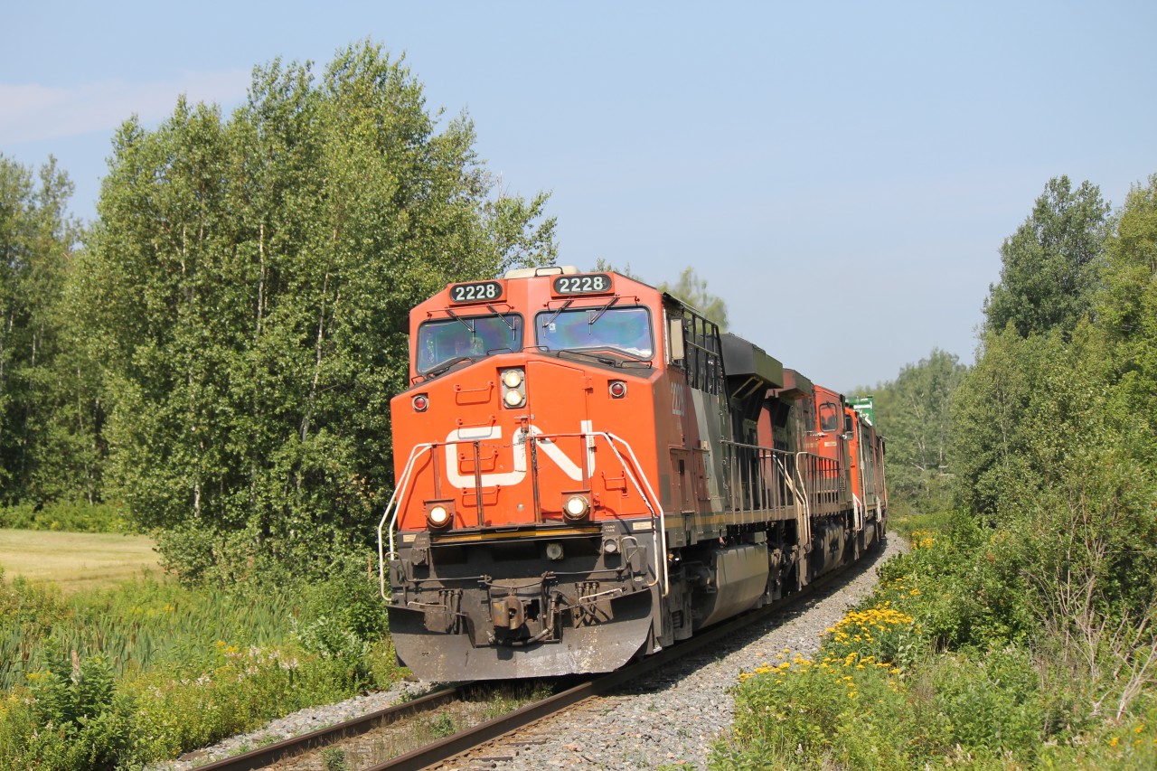 The first CN 120 to arrive in the Maritimes after the derailment in Gananoque Ontario.  This train usually arrives during the wee hours of the morning thus not giving us the opportunity to photograph it.  Taking complete advantage of the time of day and the sun light, here is CN 2228 from train 120 almost in Moncton, NB from some switching and a re-crew and then on to Halifax, NS.