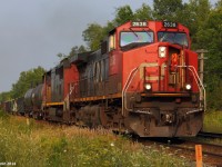 Just as CN 308 flies by braking the silence of the peaceful countryside, before the gates could go back up to their fully up position they go back down as CN 369 is quickly approaching. A GE DASH 9-44CW and a GE DASH 8-40CM should be enough power for this short train, as it quickly heads towards Toronto. 