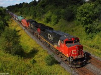 While waiting for the legendary CN U710 with the Burlington Northern Santa Fe leader, CN 303 roars by in almost perfect light.