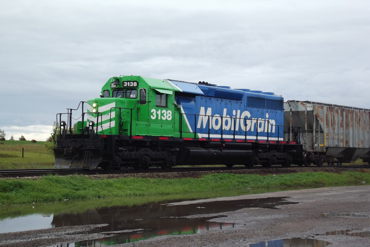 On a dreary cool morning, Mobilgrain SD 40-3, 3138 (KCS 3138, CN 5088), has arrived in Chamberlain with 1 grain hopper in tow. The Chamberlain switcher will push 3 loads onto the main from the siding, and 3138 will connect to them there.