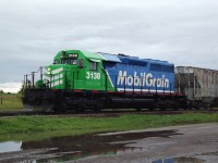 On a dreary cool morning, Mobilgrain SD 40-3, 3138 (KCS 3138, CN 5088), has arrived in Chamberlain with 1 grain hopper in tow. The Chamberlain switcher will push 3 loads onto the main from the siding, and 3138 will connect to them there. 