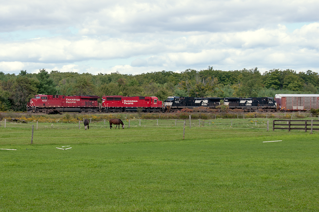 A short wait (for me anyway), CP8935, CP6241, NS9932 and NS9972 rumble towards Galt.