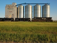 NS 8014 shoves on the rear of CP 616 as it passes the Elevator in Dafoe, SK. 