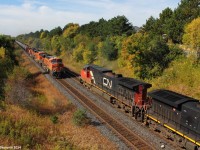 After some time waiting, the expected CN U71091 rolls through with a trio of Burlington Northern Santa Fe power. Amazingly meeting a westbound, it gave me the perfect opportunity to get the perfect photo.