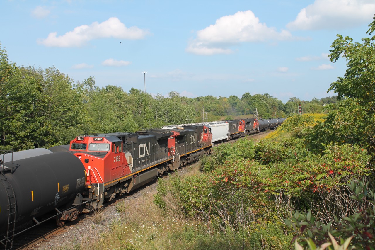 CN 331 meet the DPU's on 360, taken at 16:47. Standing on crown land.