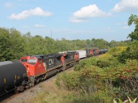 CN 330 meet the DPU's on 360, taken at 16:47. Standing on crown land.