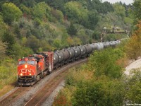 CN 305 cruises by Hilda just as the sun pops out from in between the clouds with GE DASH 9-44CW 2663 in the lead.