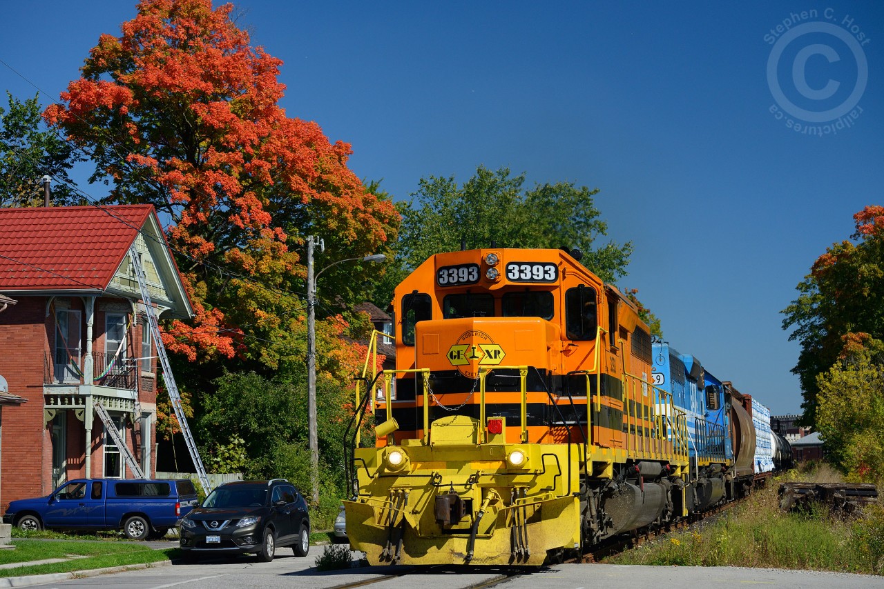 Fall is here - and the colours that are out so far are just brilliant! Train 431 rolls by Kent St near downtown Guelph, where the homes are a mere stones throw from the tracks.